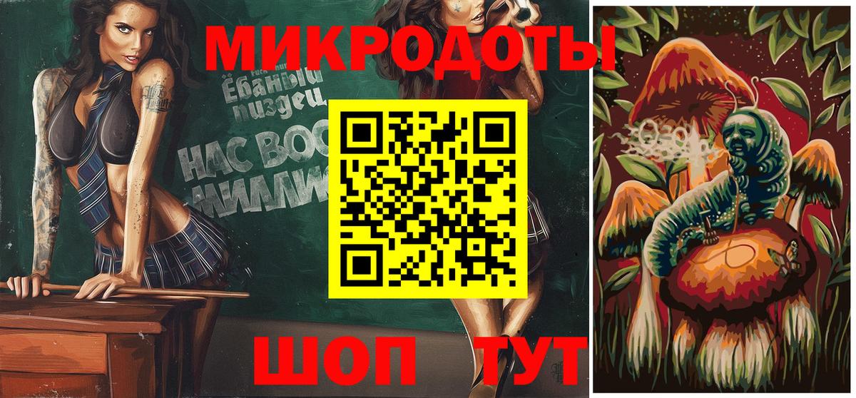 Гатчина  Псилоцибиновые грибы Psilocybe  Вход с VPN 
